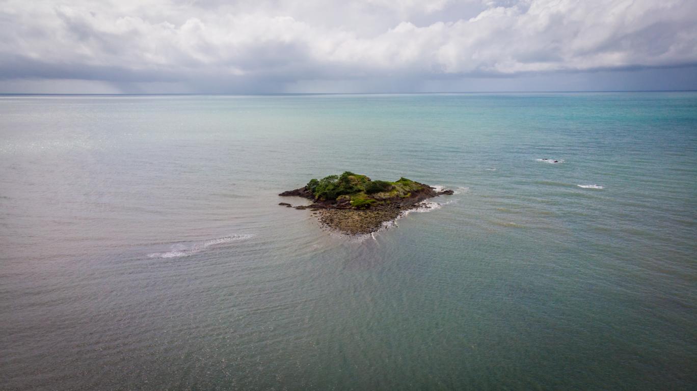 Western Lake Erie Coastal Conservation